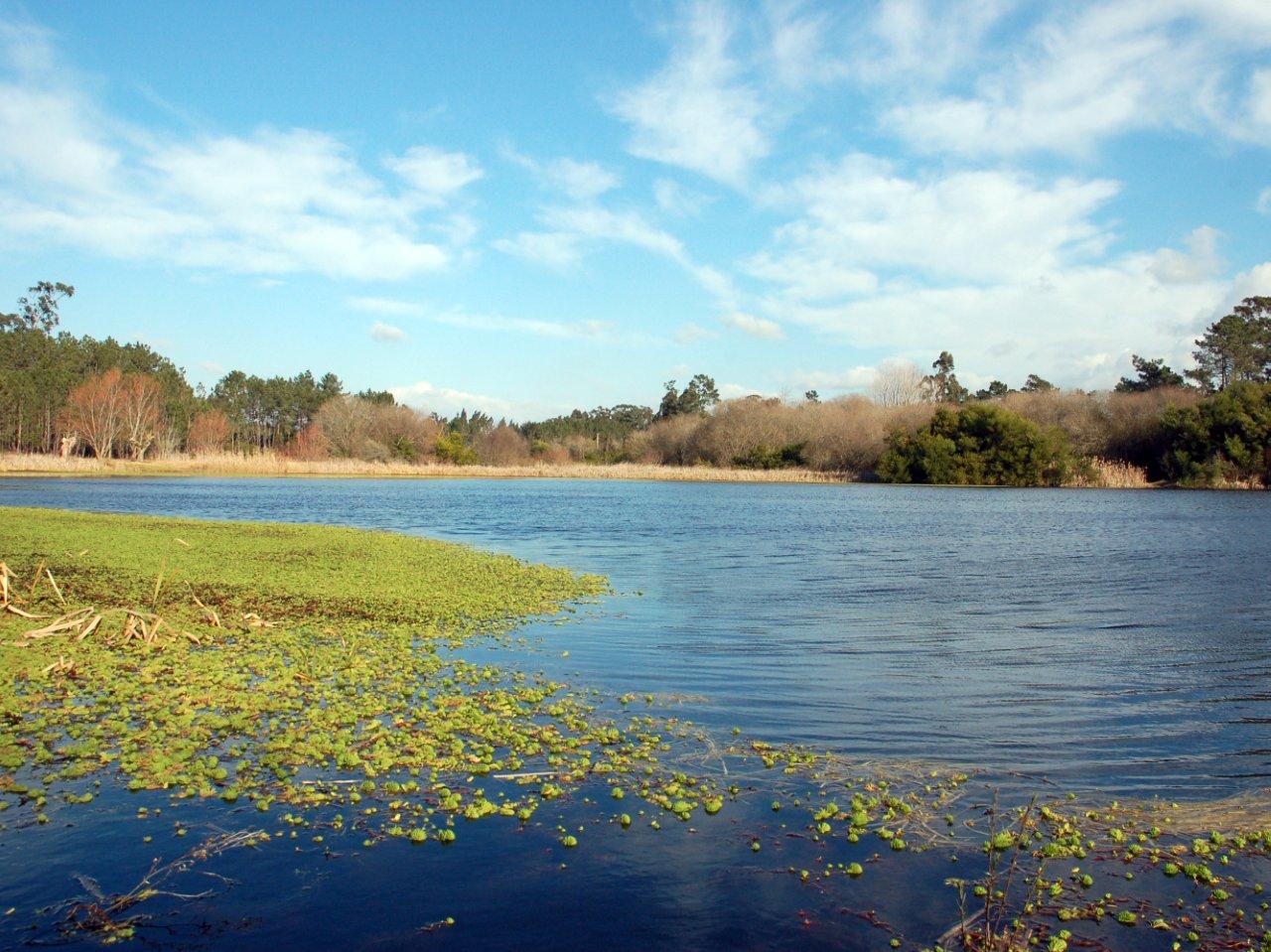 Teixoeiros or Mata Lagoon